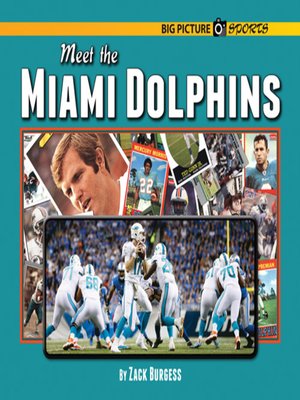 cover image of Meet the Miami Dolphins